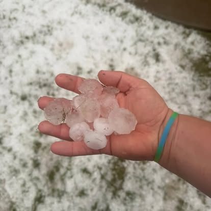 A handful of hailstones from a photo shared by Mitten